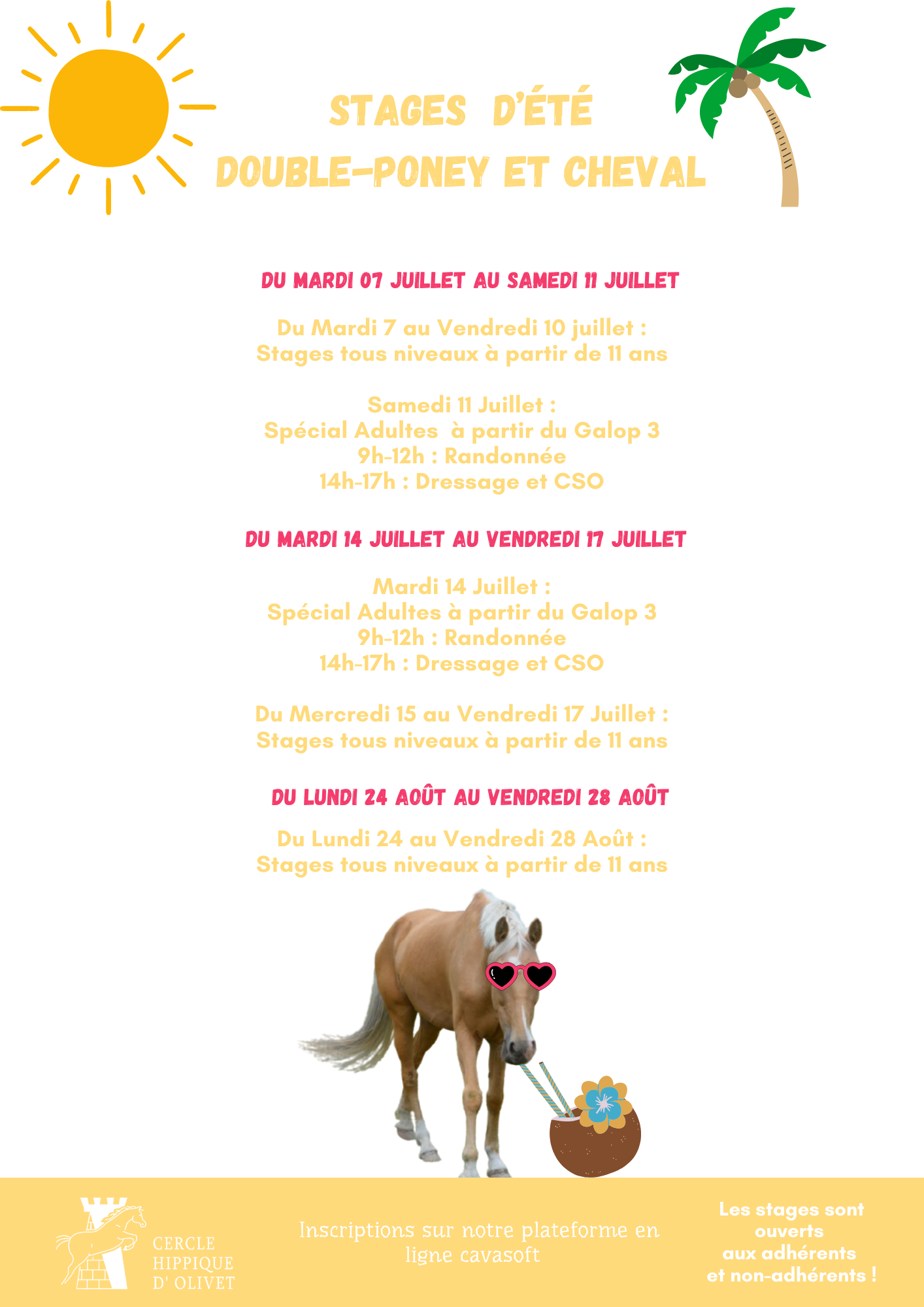 Stages d&rsquo;été doubles poneys/chevaux été 2026