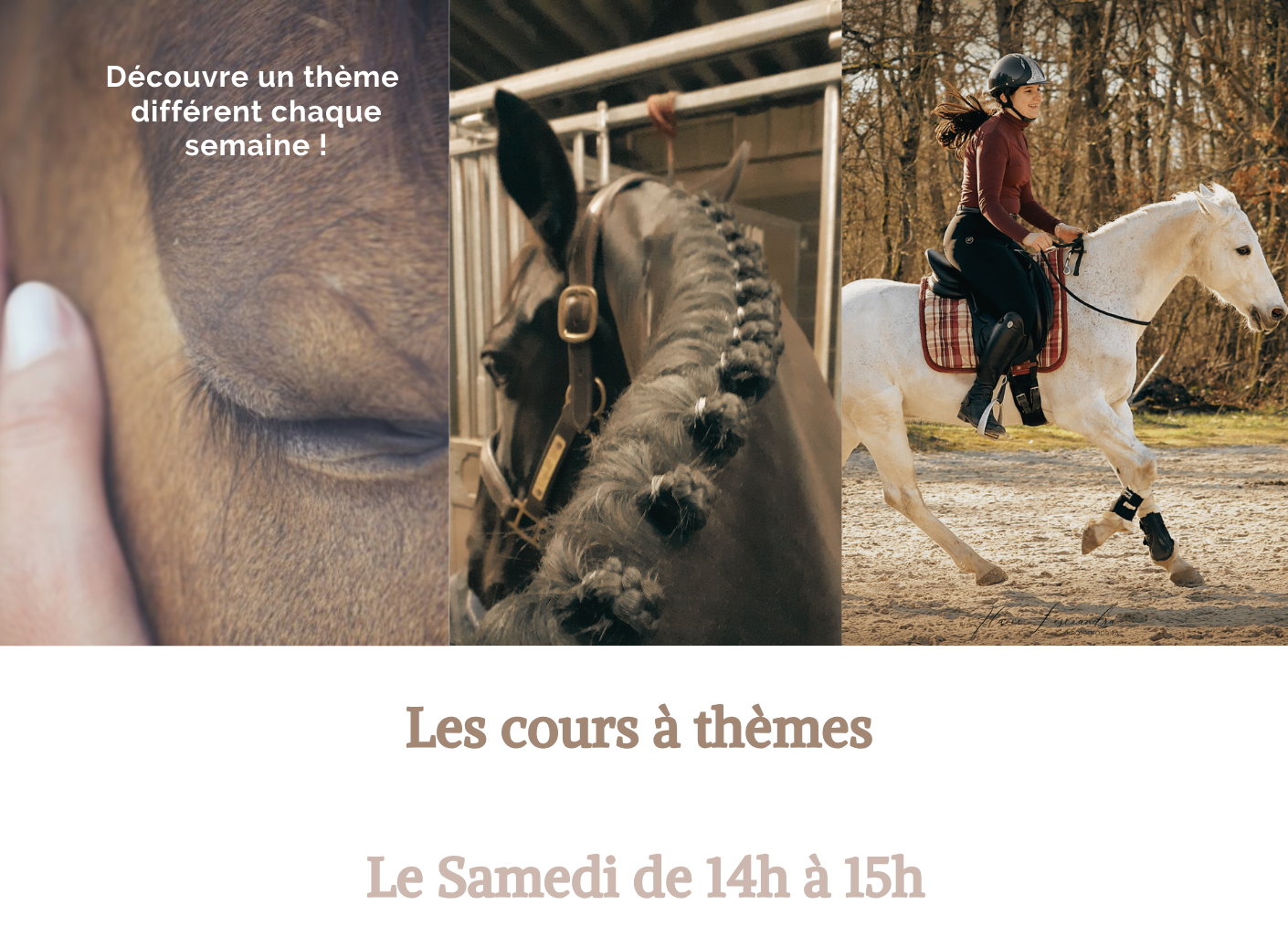 Cours à thème